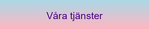 Våra poolbyggartjänster