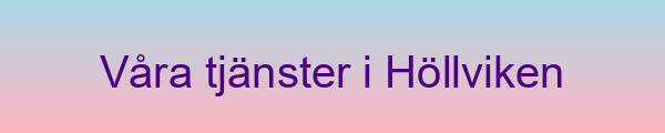 Poolbyggartjänster i Höllviken